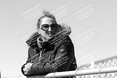 media/Mar-08-2025-TrackXperience (Sat) [[277b597a28]]/1-Around the Pits - Pre Grid/